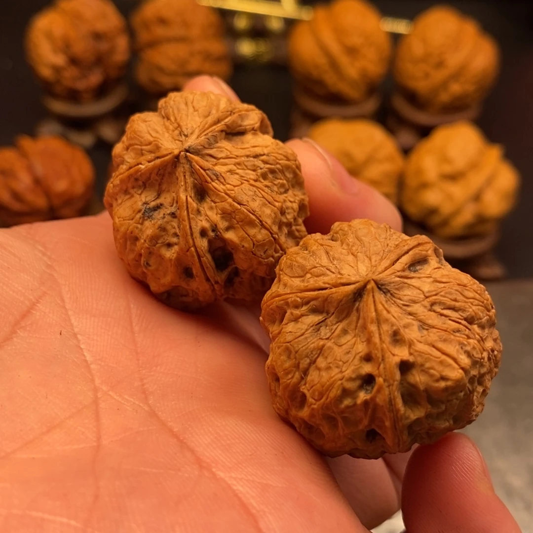 文玩核桃把件梅花三愣
