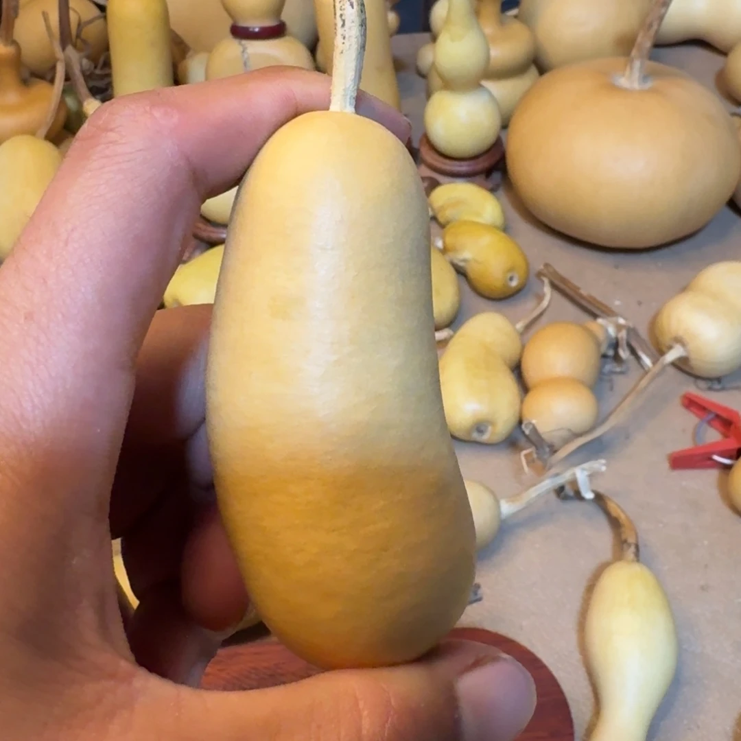 一***一葫芦111111111111111