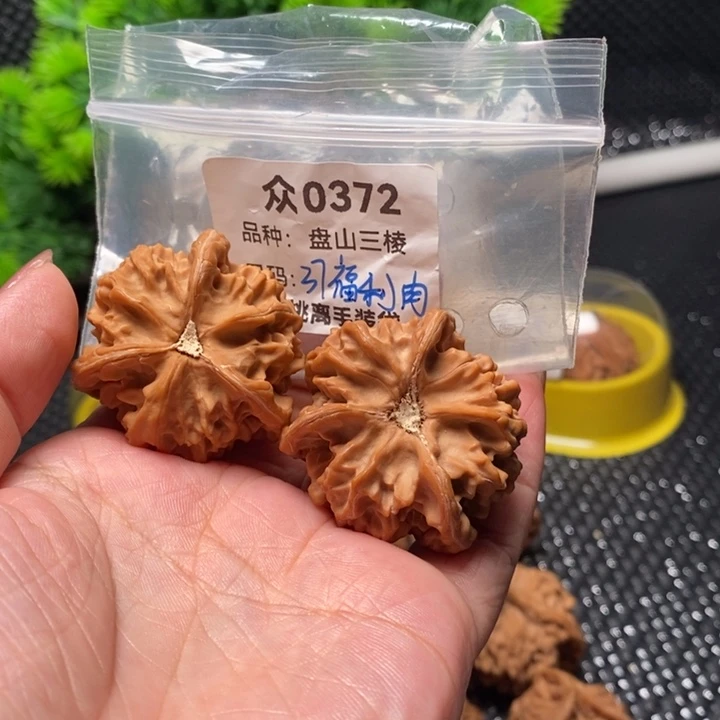 慈***️吊坠桃核众0372-全品盘山37肉球