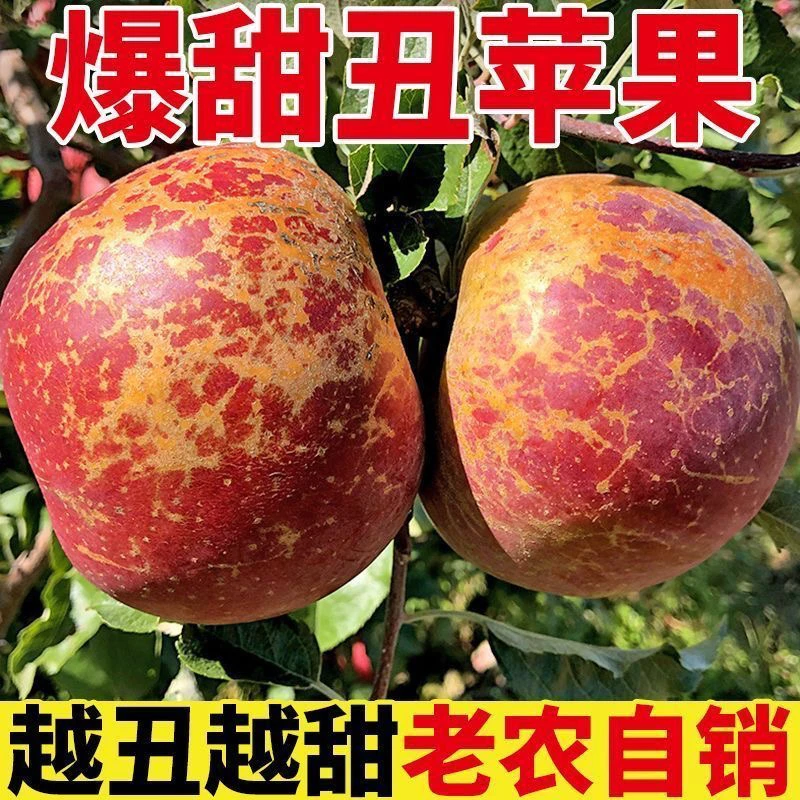 贵州本地现摘现发丑苹果