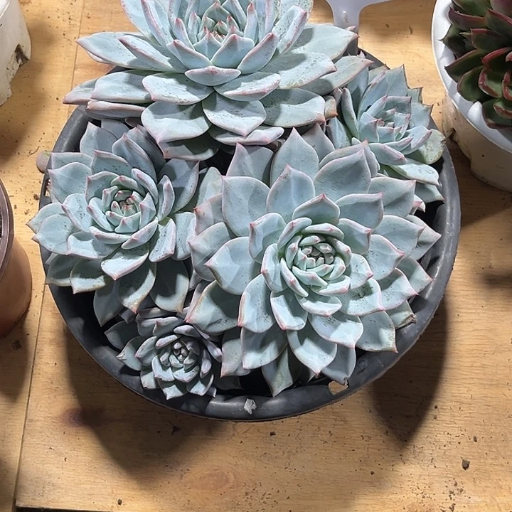 随***。00000000000000000622