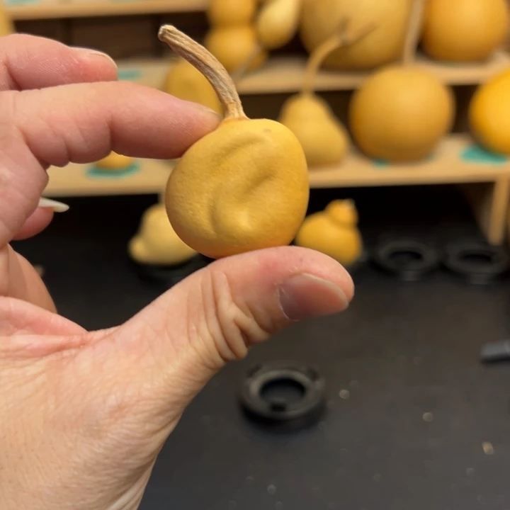 协****生葫芦葫芦葫芦葫芦葫芦葫芦