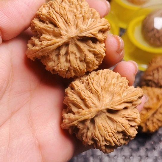 H****哥文玩核桃苹果园狮子头