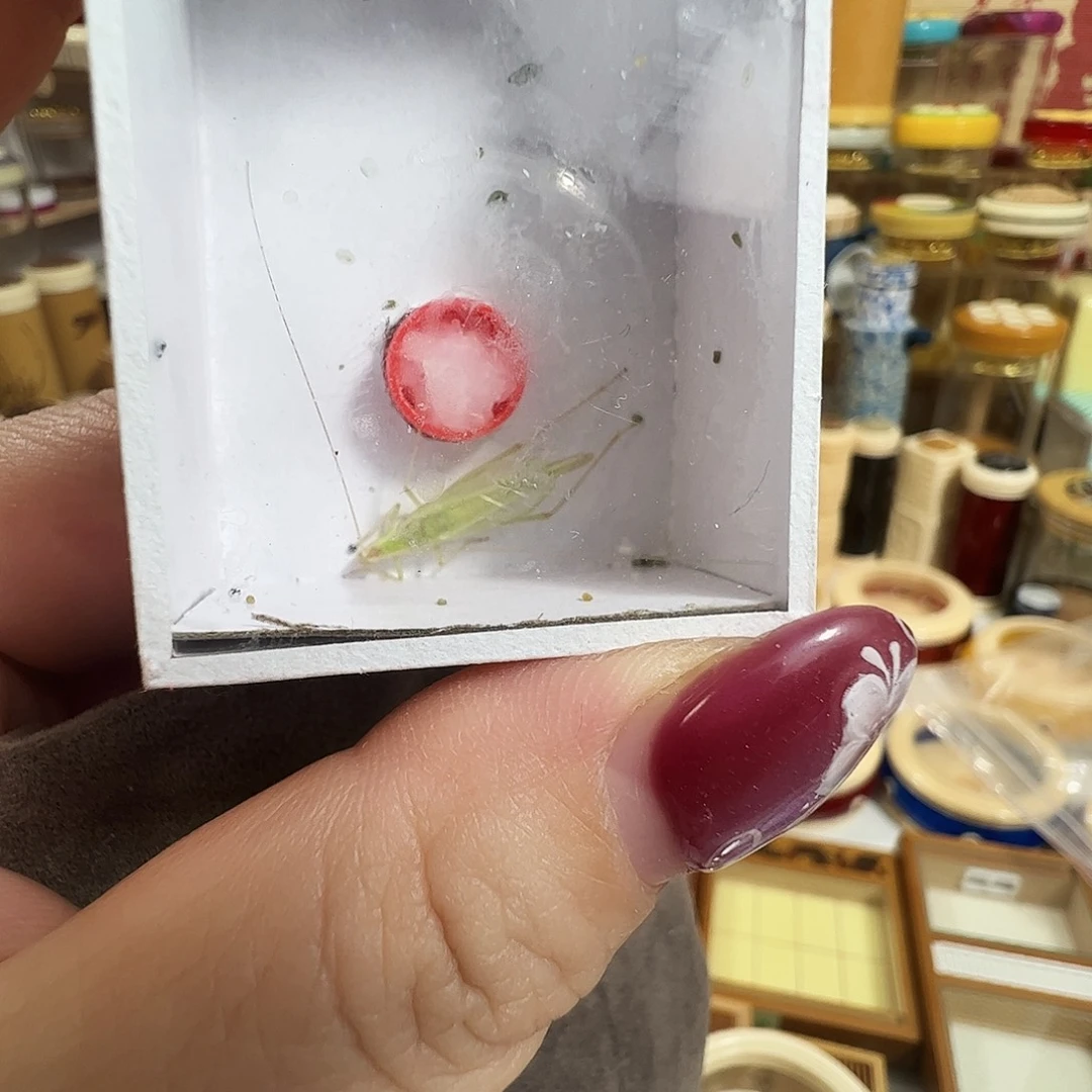 天***勤哈哈哈哈哈青竹一个