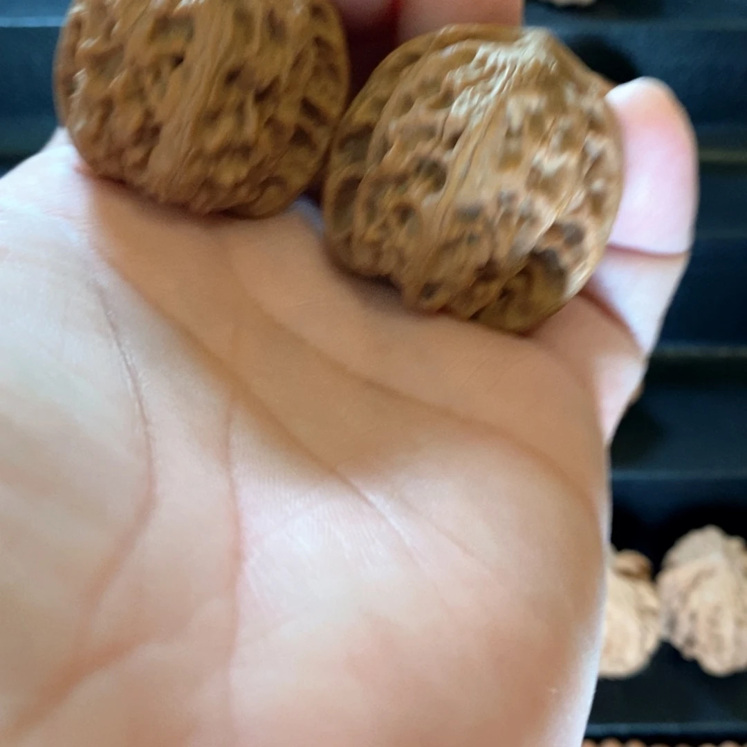 文玩核桃把件野生原树野狼38