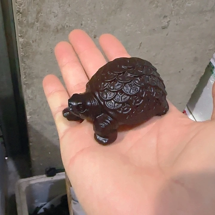 木黑檀木7金钱龟一只