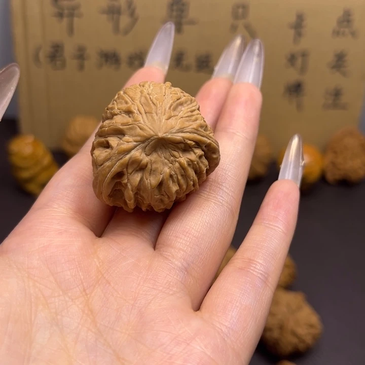 ****人菩提籽类蛇单只异型有瑕