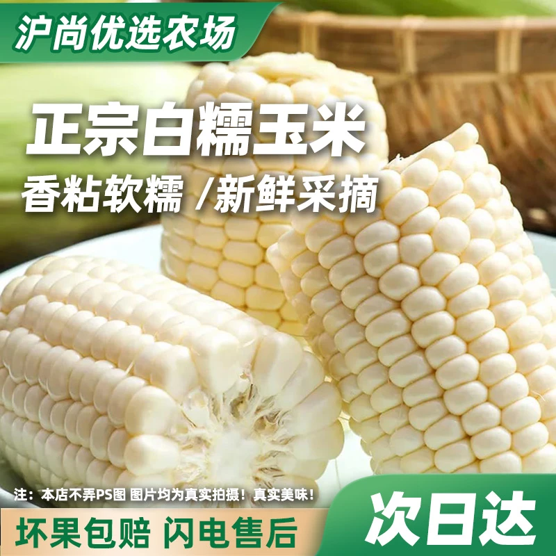 【正宗白糯玉米新鲜采摘】 香粘软糯 新鲜采摘 现摘现发南汇基地发货顺丰京东包邮3.2斤~5.5斤