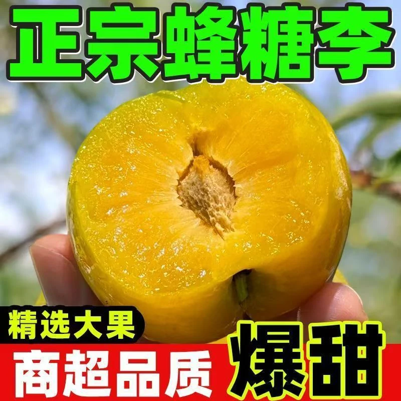 顺丰京东蜂糖李现摘现发5斤新鲜脆甜李子当季孕妇水果