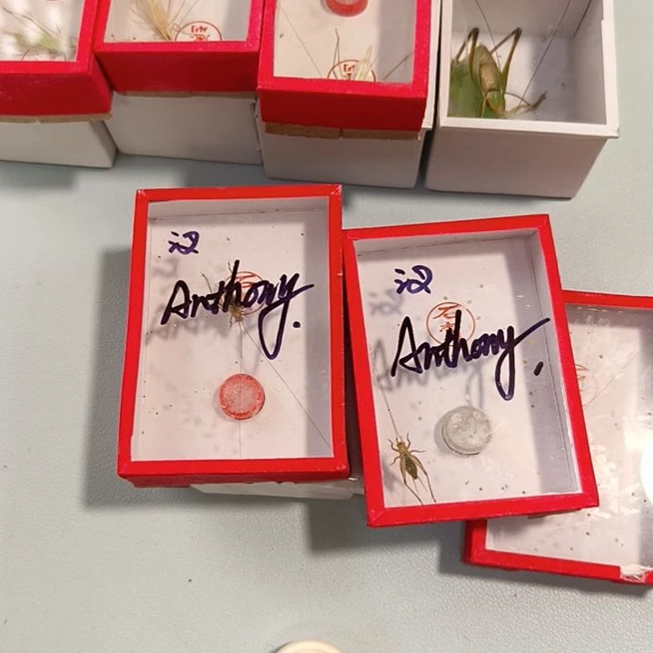 小***虎哈哈哈哈哈哈哈哈哈哈