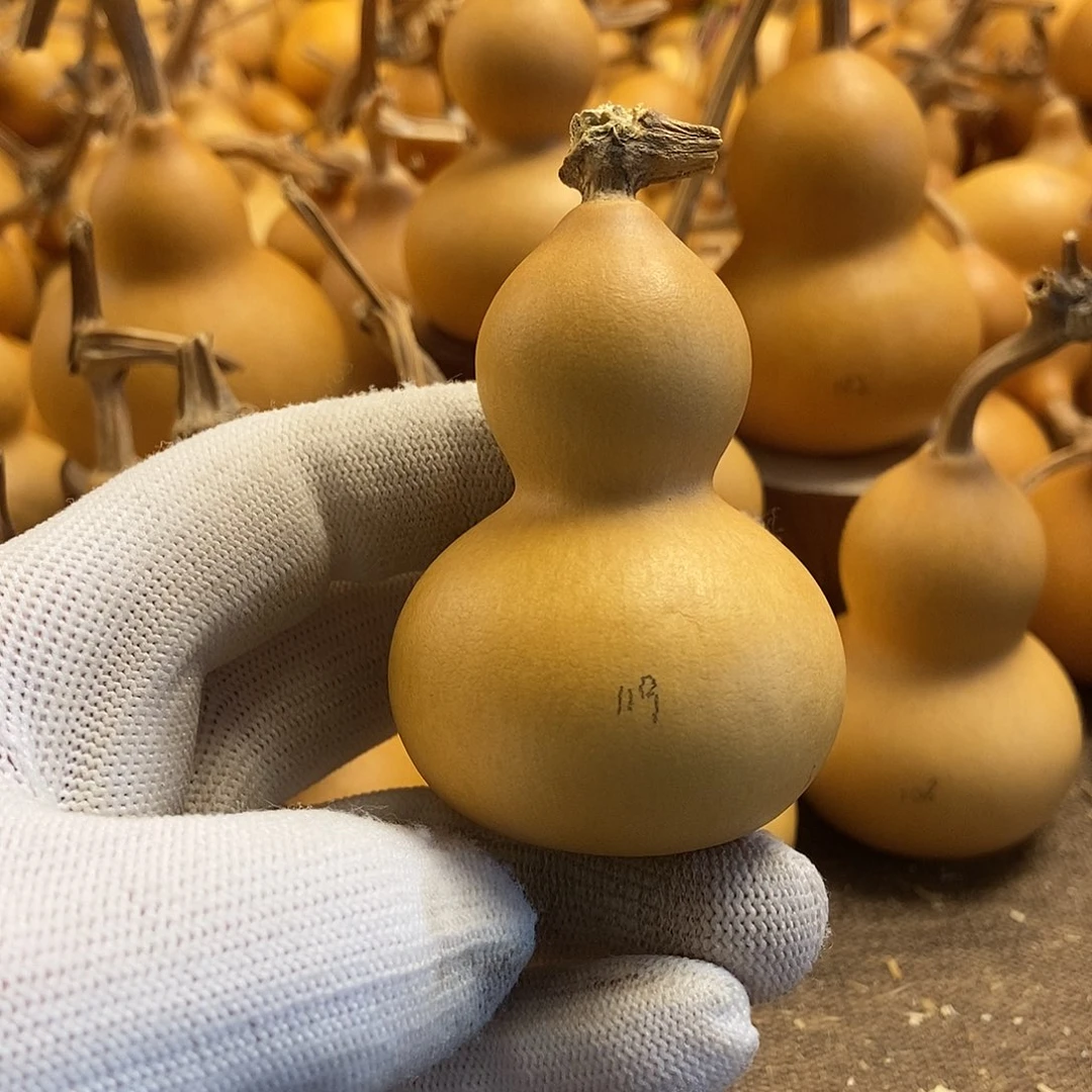 文玩葫芦 完美主义者 慎拍119