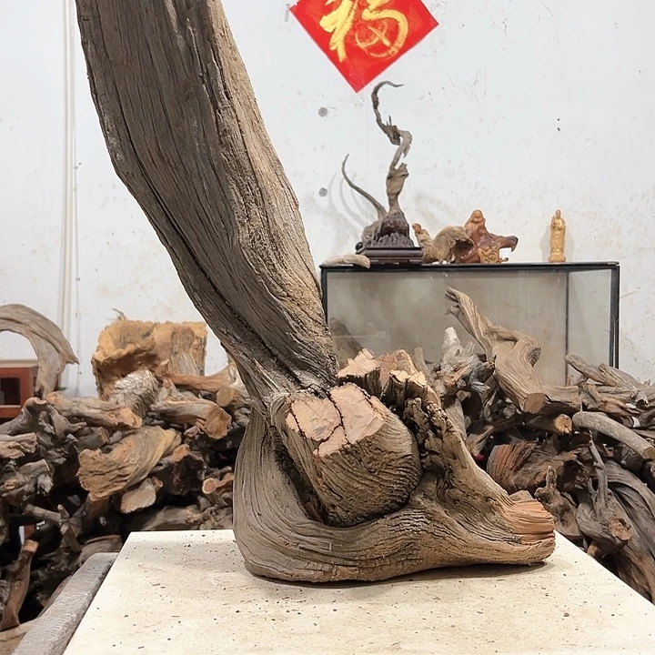 柏木林*我们都是好孩子啊