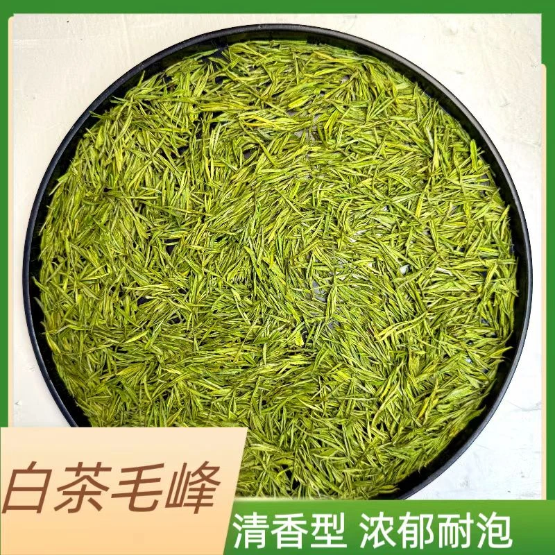 2025年白茶#【小伟力荐】香气馥郁颗颗嫩芽
