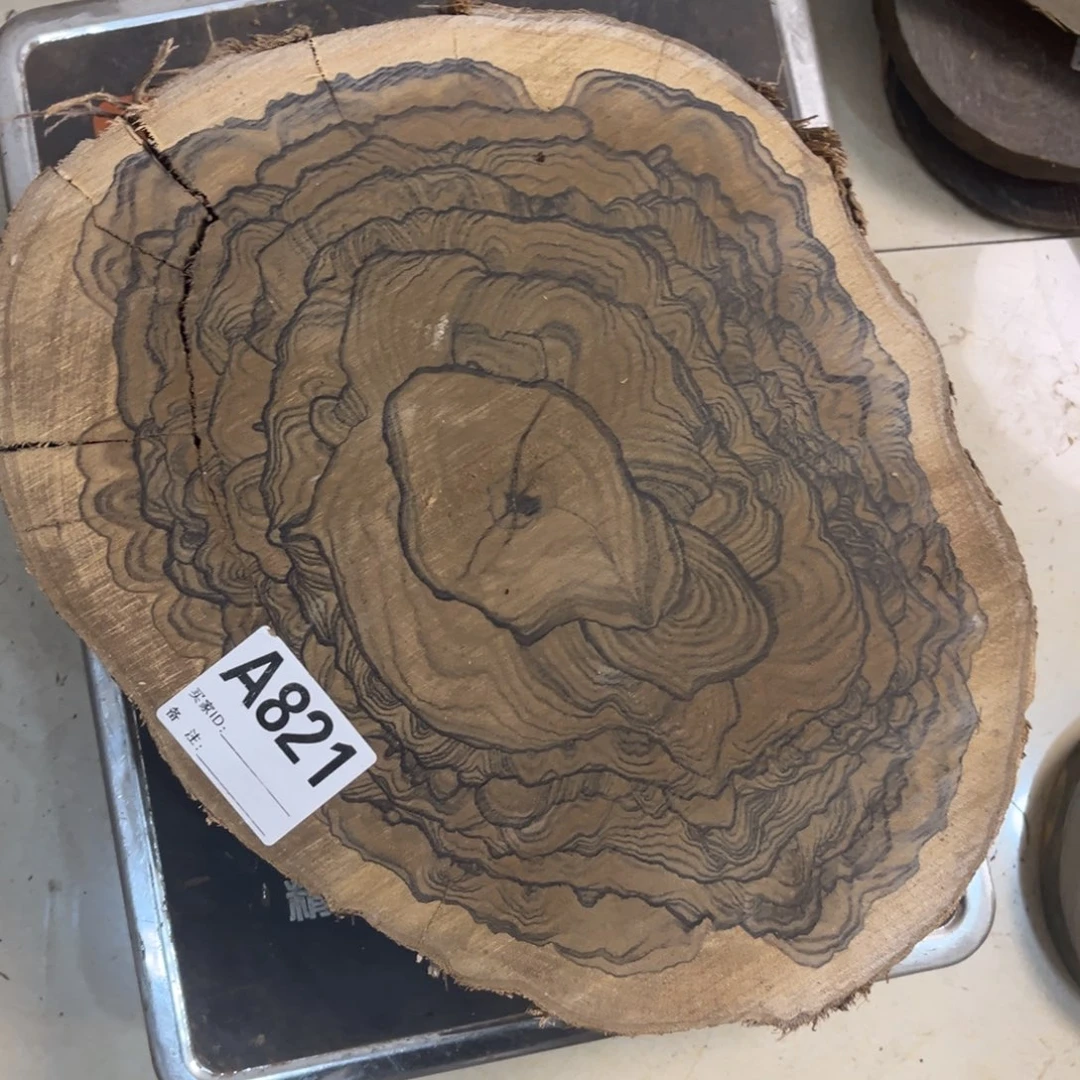 陈***生墨西哥黑柿木墩子