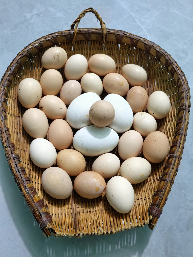 乡村鸡蛋30枚包邮