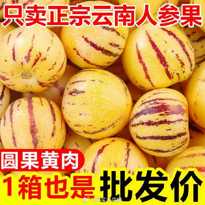 石林果新鲜采摘树上熟黄肉圆果清甜多汁低糖孕妇网红新鲜水果