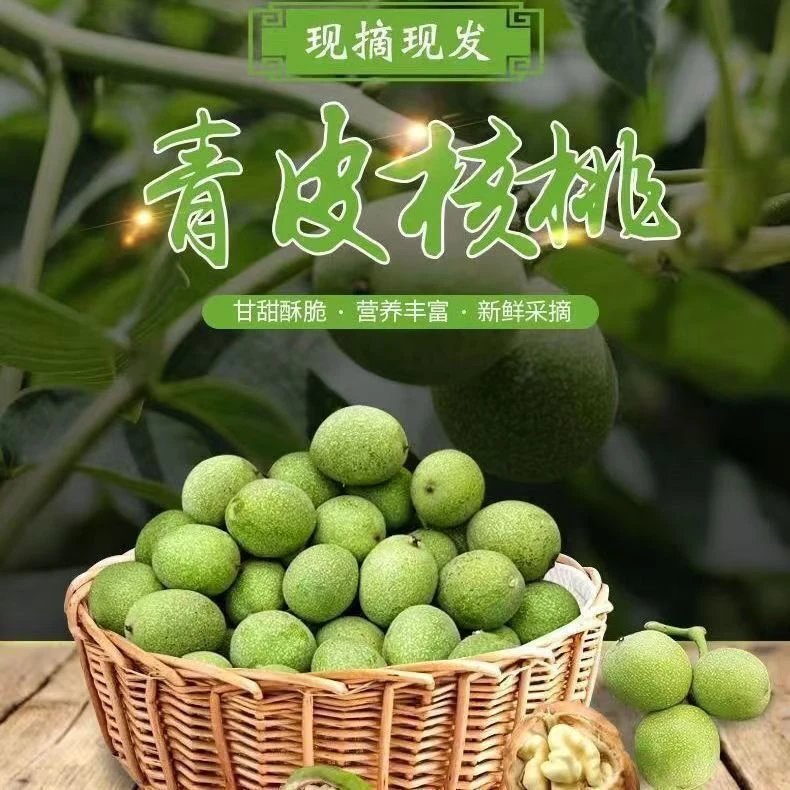 2025新上市陕西青皮核桃新鲜甘甜脆爽可鲜吃带青皮五斤包邮带工具