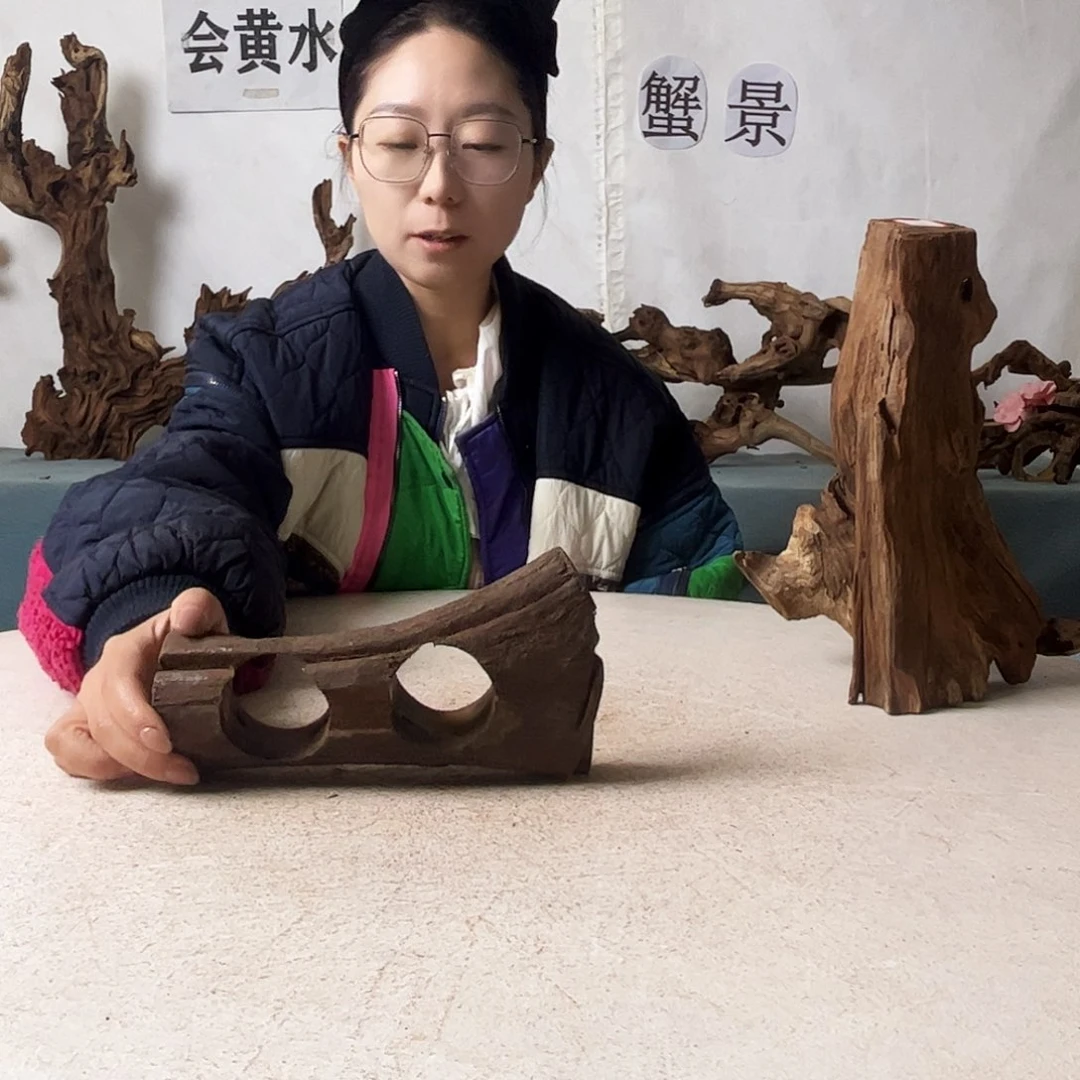 沉木造景爬宠造景