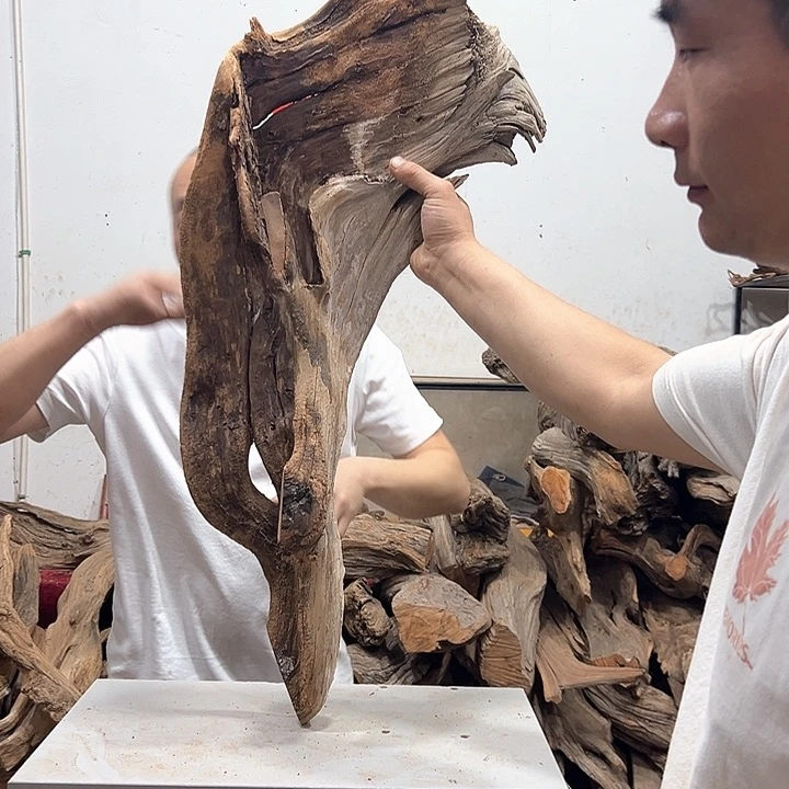 柏木百*崖我们都是好孩子呀我也是