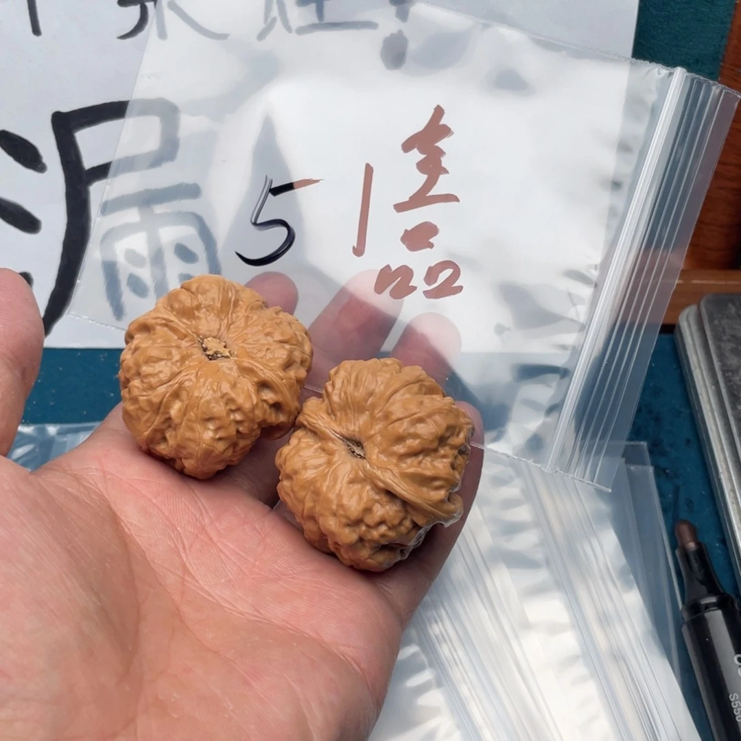 ;79479479479479497497