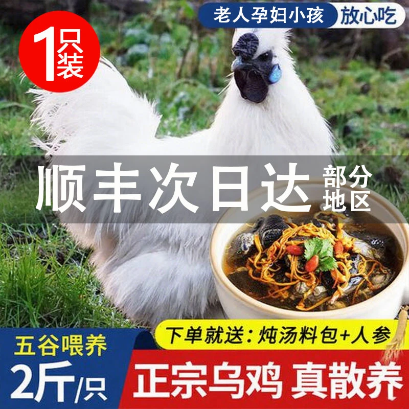 乌鸡农家散养土鸡农家乌鸡新鲜正宗白凤乌骨鸡煲汤整只顺丰包邮