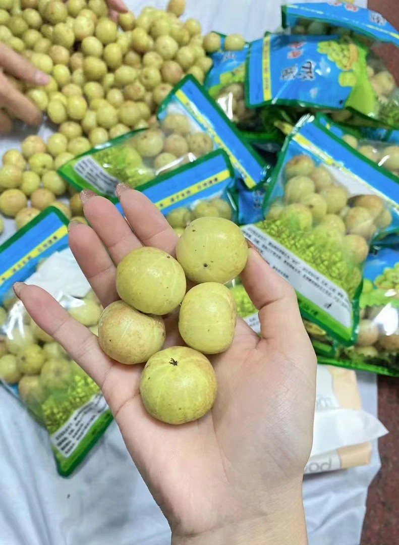 高山三捻甜种油甘