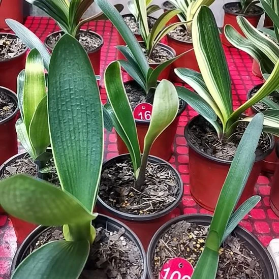 完全开放222222222