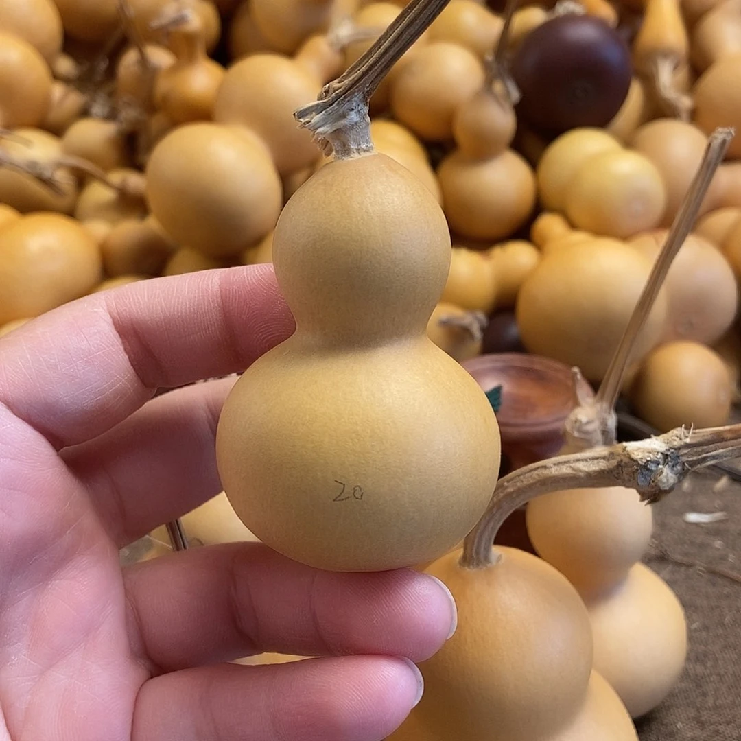 文玩葫芦 完美主义者 慎拍20