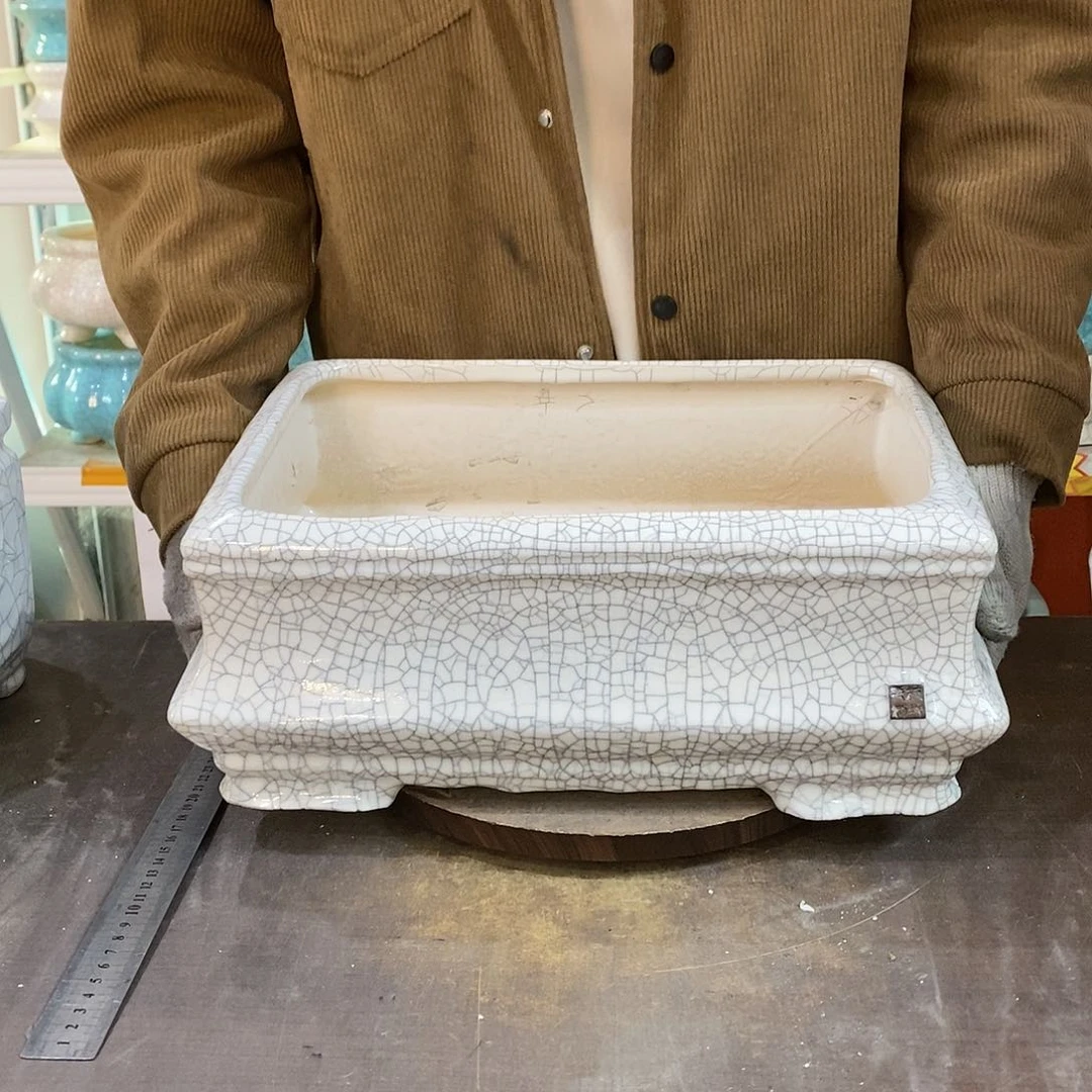 东*瑕疵花盆花盆里的花都开