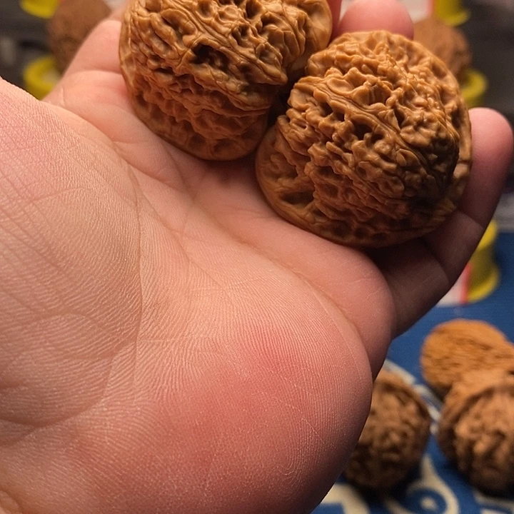 文玩核桃吊坠纯涿鹿南疆石（刮尖）