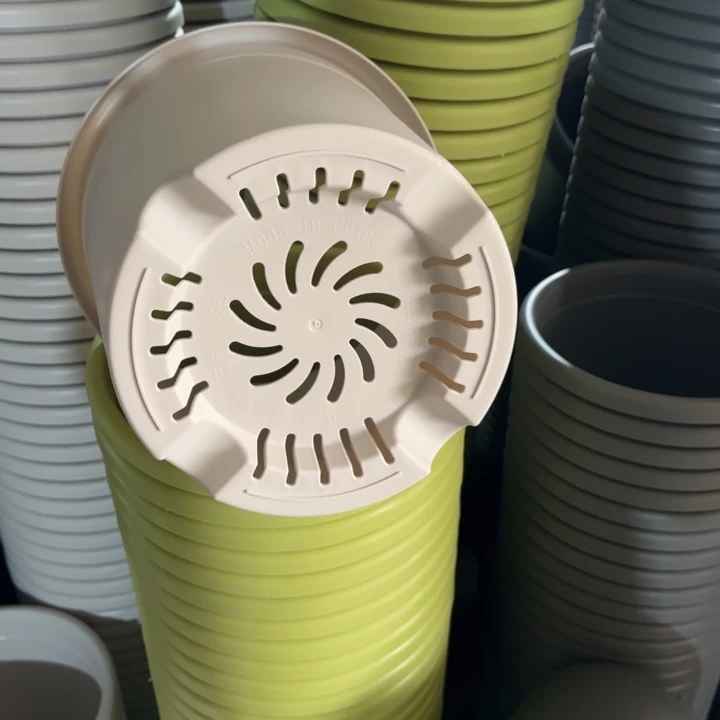 四季4号5个灰白色的