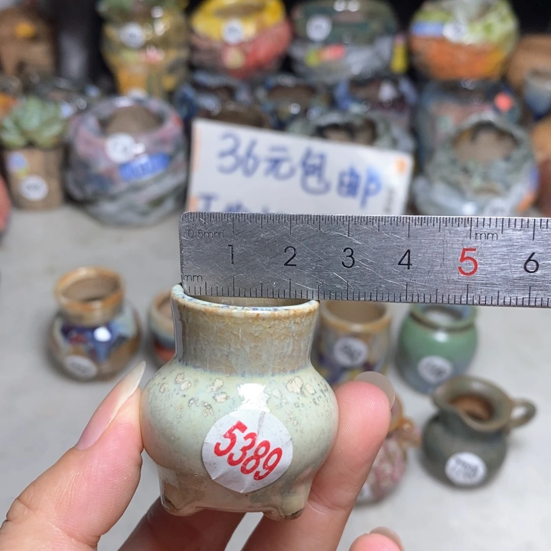 拍5送一个小礼物