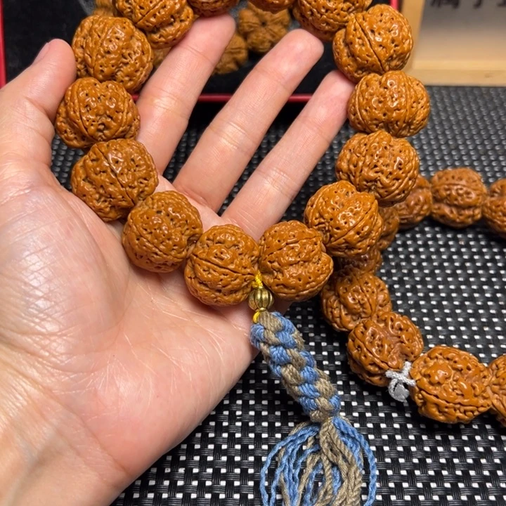 金刚菩提手串飞碟帝王花