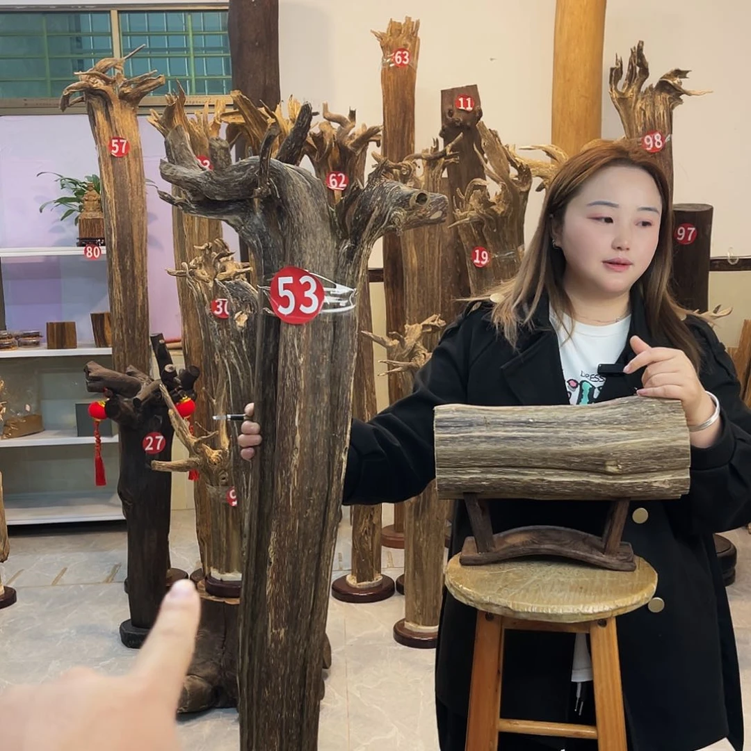 本*池中式 香薰 香道 香料