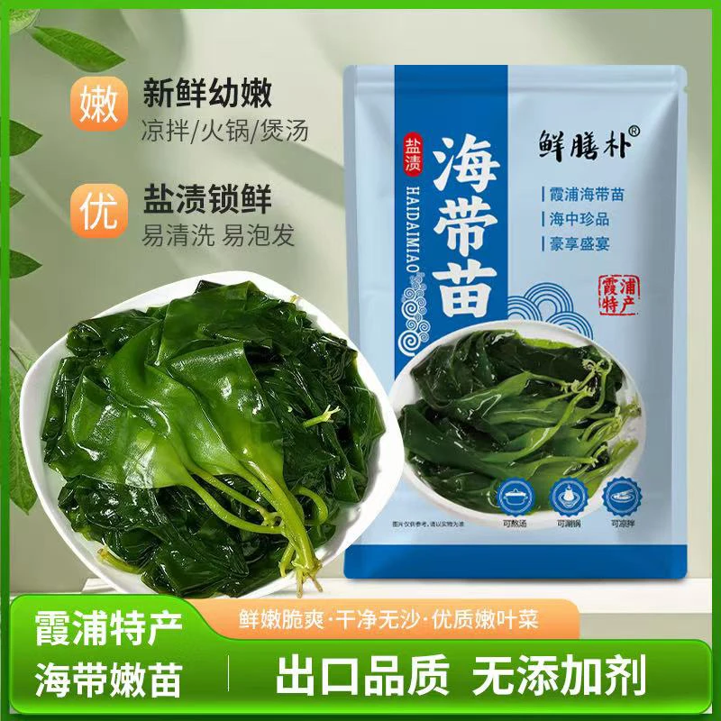 福建霞浦海带苗嫩新鲜海带芽火锅凉拌食材海带芽嫩芽少盐无沙海带