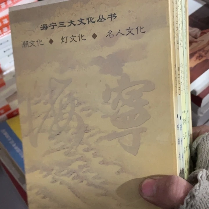 海宁三大文化丛书全六册