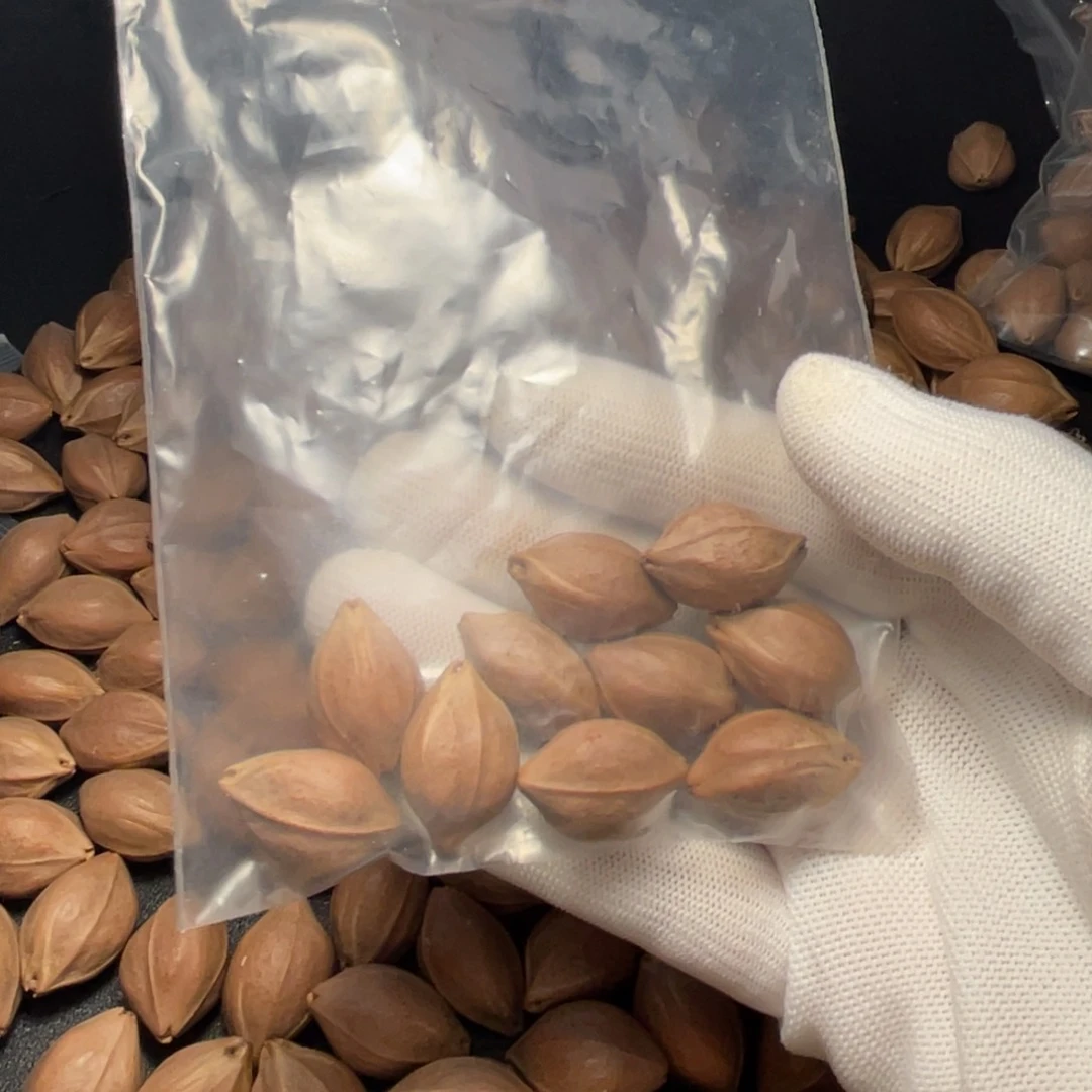 橄榄核其他O****qqqqqqqqqqq