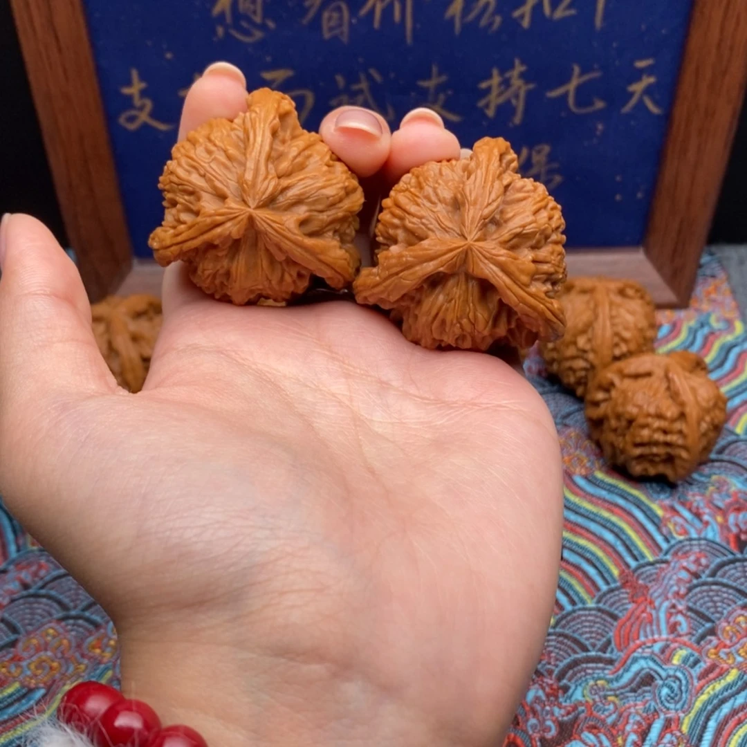 【闪购商品】阿****身白狮
