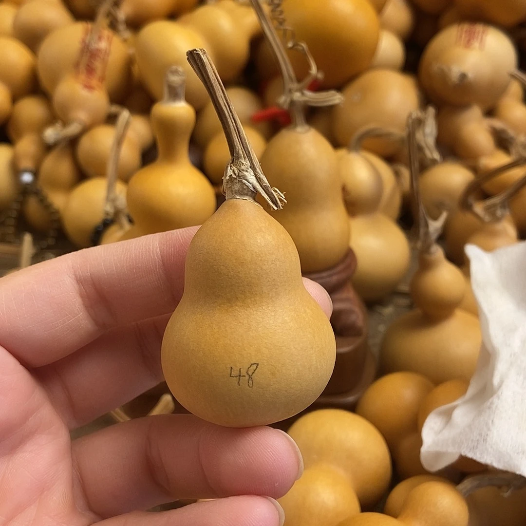 文玩葫芦 完美主义者 慎拍48