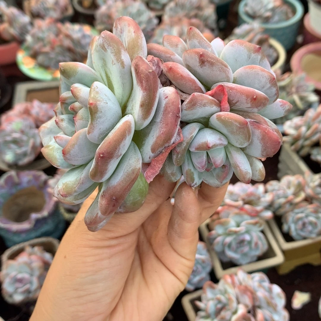 哈哈哈哈哈哈哈哈哈哈哈哈