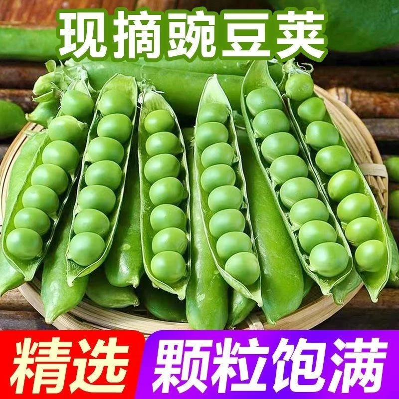 带箱5斤新鲜带壳青豌豆甜脆嫩豆现摘蔬菜高山种植豌豆荚
