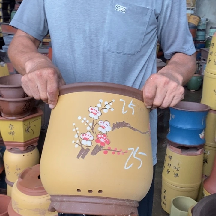 紫砂花盆盆栽花卉种植
