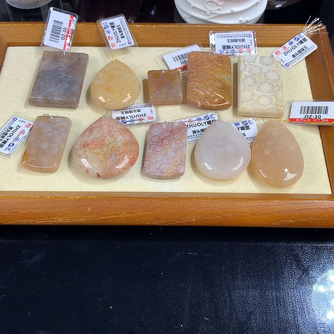 吊坠(赠链)未镶嵌硅化珊瑚（珊瑚玉）39号