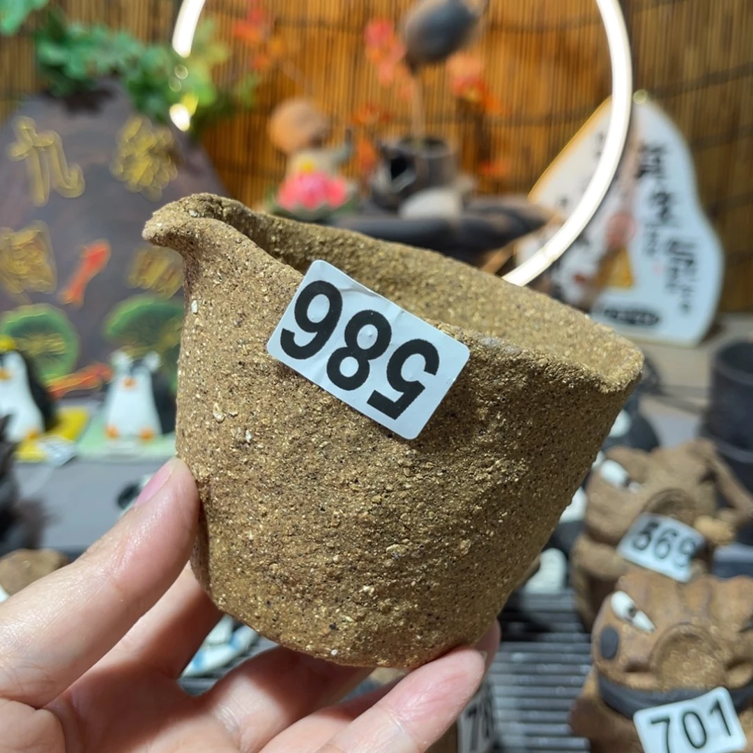 木村信号柴烧保平