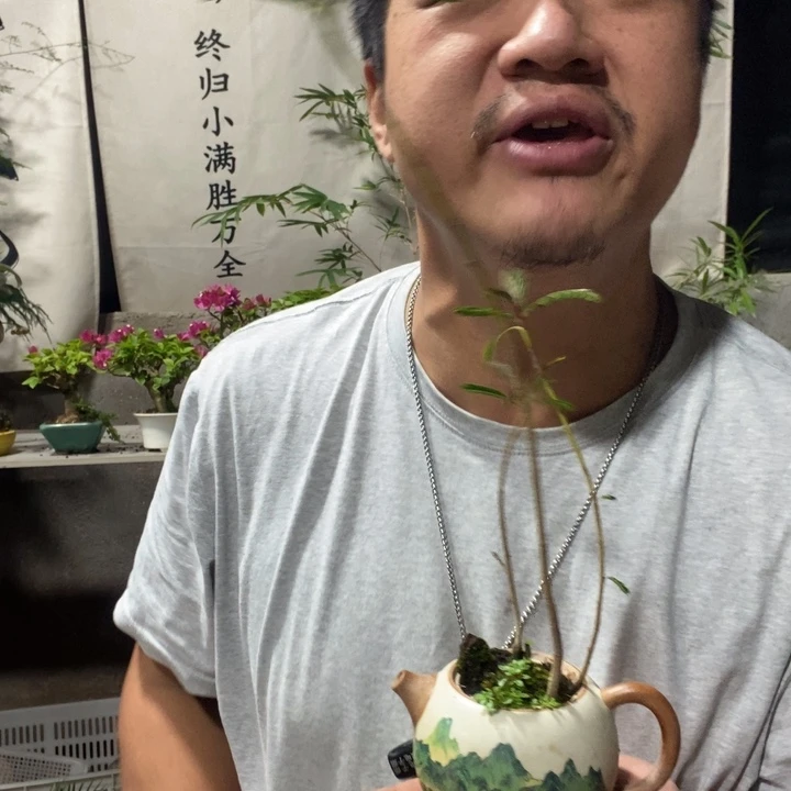 释***释以实际为准退款拉黑拉黑90