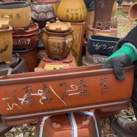 紫砂花盆紫砂花盆盆景盆栽