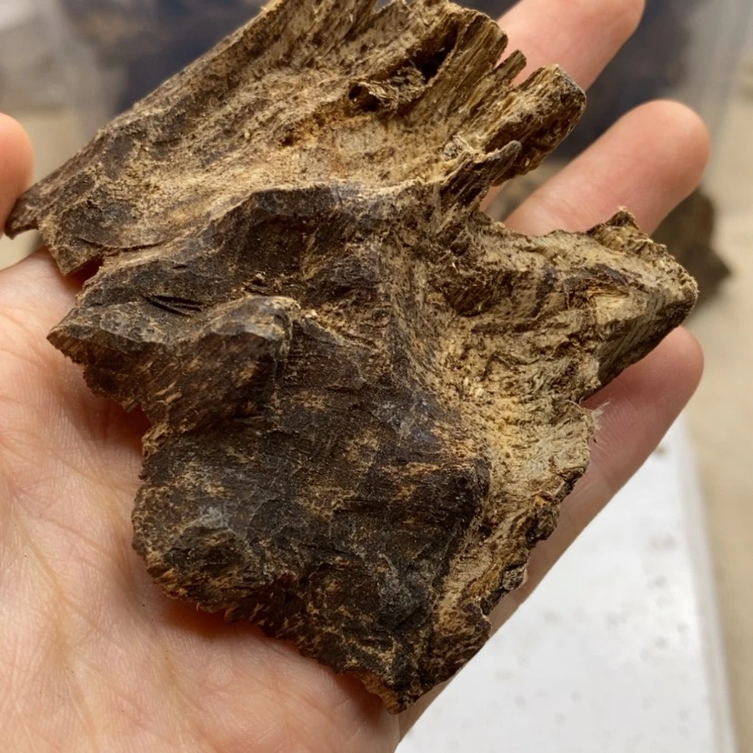 【闪购商品】海南9克