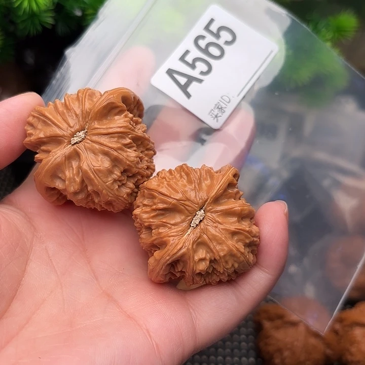 把件桃核核桃白狮子43