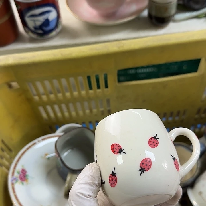 碟开播啦…开播啦