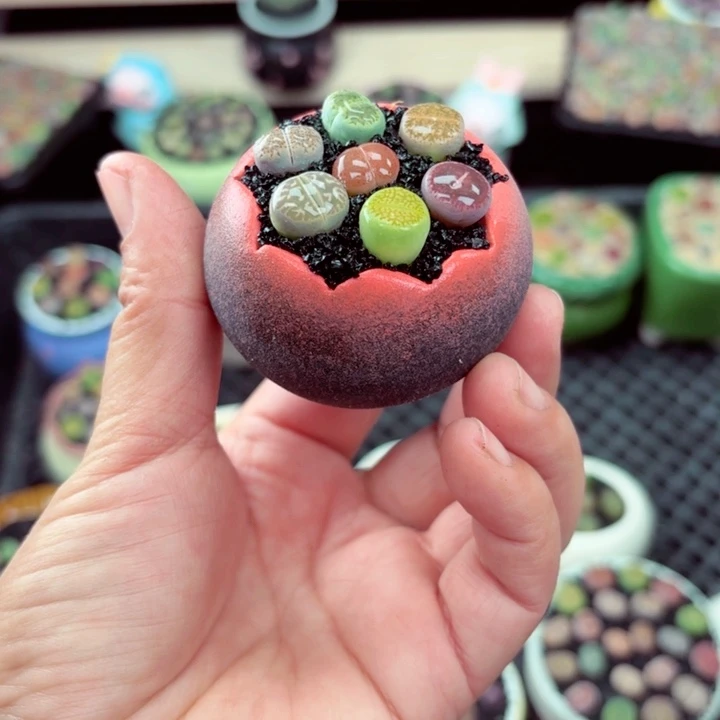 502零下地区记得拍保温箱